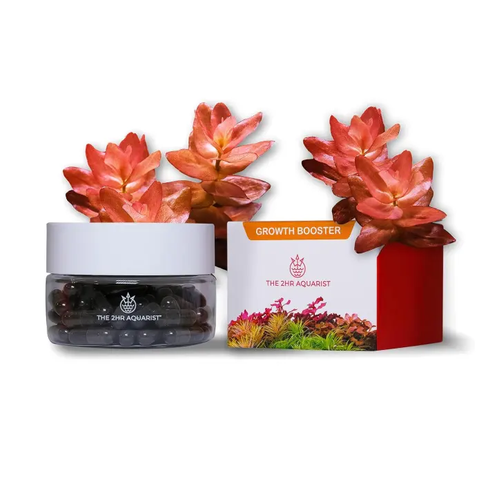 2HR Aquarist APT Jazz Aquarium Plant Root Tabs — 54-Tab Pack